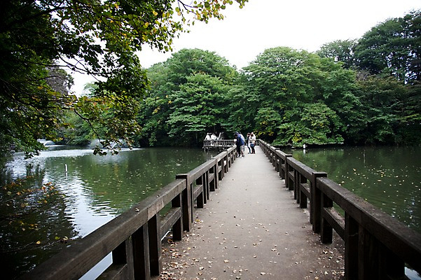 포토 JPG 주간 나무 식물 건축물 공원 건축 아시아 호수 일본문화 자연 하늘 사람 풍경 여러명 야외 물 일본 이노카시라공원 가교 국내포토 자연요소 동양문화 공공시설 나라 외국문화 다수 도쿄 생태계 파일형식