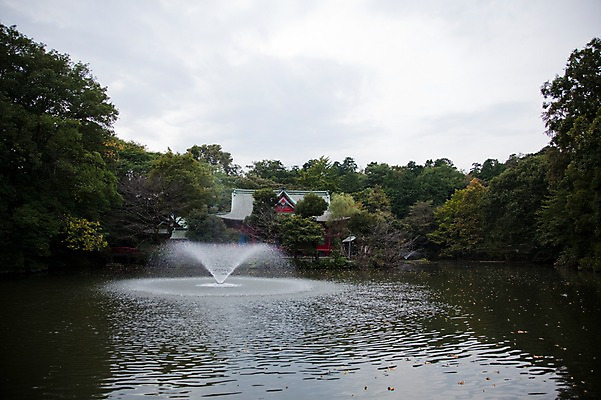 포토 JPG 주간 나무 식물 구름 건축물 공원 건축 아시아 종교 호수 고건축 일본문화 자연 하늘 풍경 사람없음 야외 건물 물 일본 분수 분수대 이노카시라공원 분수_분수대 신사_일본건축 국내포토 자연요소 동양문화 공공시설 나라 외국문화 도쿄 생태계 일본건축 파일형식