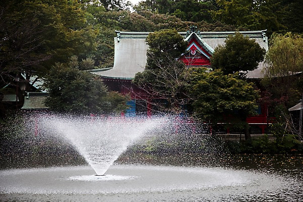 포토 JPG 주간 나무 식물 건축물 공원 건축 아시아 종교 호수 고건축 일본문화 자연 풍경 사람없음 야외 건물 물 일본 분수 분수대 이노카시라공원 분수_분수대 신사_일본건축 국내포토 자연요소 동양문화 공공시설 나라 외국문화 도쿄 생태계 일본건축 파일형식