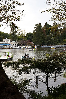 포토 JPG 주간 나무 식물 공원 아시아 호수 일본문화 하늘 사람 풍경 여러명 야외 물 일본 보트 오리배 이노카시라공원 선박 국내포토 자연요소 동양문화 공공시설 나라 외국문화 다수 수상교통 배_교통 도쿄 파일형식