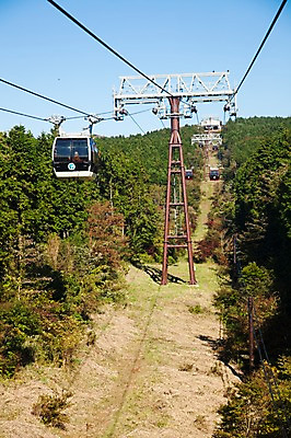 포토 JPG 주간 나무 식물 아시아 교통수단 일본문화 자연 산 풍경 사람없음 야외 일본 전선 케이블카 하코네 국내포토 자연요소 동양문화 나라 외국문화 교통 생태계 파일형식