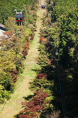 포토 JPG 주간 나무 식물 아시아 교통수단 일본문화 자연 산 풍경 사람없음 야외 일본 전선 케이블카 하코네 국내포토 자연요소 동양문화 나라 외국문화 교통 생태계 파일형식