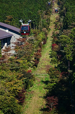 포토 JPG 주간 나무 식물 건축물 건축 아시아 교통수단 일본문화 자연 산 풍경 사람없음 야외 건물 일본 전선 케이블카 하코네 국내포토 자연요소 동양문화 나라 외국문화 교통 생태계 파일형식