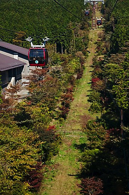 포토 JPG 주간 나무 식물 건축물 건축 아시아 교통수단 일본문화 자연 산 풍경 사람없음 야외 건물 일본 전선 케이블카 하코네 국내포토 자연요소 동양문화 나라 외국문화 교통 생태계 파일형식