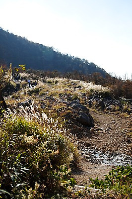 포토 JPG 주간 식물 아시아 일본문화 자연 산 풍경 초원 사람없음 야외 일본 풀 억새 하코네 억새밭 국내포토 자연요소 동양문화 나라 외국문화 생태계 파일형식