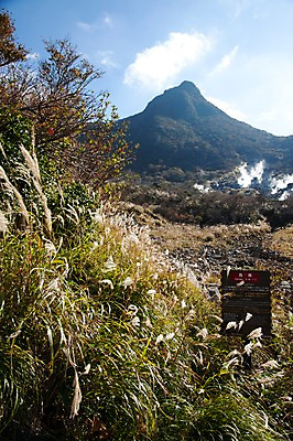 포토 JPG 주간 나무 식물 구름 아시아 일본문화 자연 하늘 산 풍경 초원 사람없음 야외 일본 풀 연기 억새 하코네 국내포토 자연요소 동양문화 나라 외국문화 생태계 파일형식