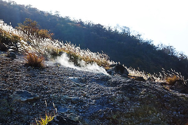 포토 JPG 주간 식물 구름 아시아 일본문화 자연 하늘 산 풍경 초원 사람없음 야외 일본 온천 풀 연기 수증기 억새 화산 하코네 국내포토 자연요소 동양문화 나라 외국문화 스파 생태계 파일형식