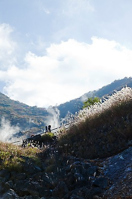 포토 JPG 주간 식물 구름 아시아 일본문화 자연 하늘 산 풍경 초원 야외 일본 온천 풀 연기 억새 화산 하코네 국내포토 자연요소 동양문화 나라 외국문화 스파 생태계 파일형식