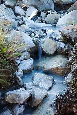 포토 JPG 주간 식물 아시아 일본문화 자연 풍경 사람없음 야외 물 계곡 일본 돌_바위 바위 풀 하코네 국내포토 자연요소 동양문화 나라 외국문화 생태계 파일형식