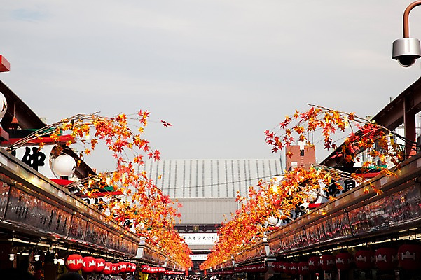 포토 JPG 주간 나무 식물 구름 전통 건축물 건축 아시아 백그라운드 단풍 일본문화 하늘 풍경 사람없음 야외 건물 관광지 상점 일본 가을 나뭇가지 역사 일본전통 아사쿠사 국내포토 자연요소 동양문화 계절 나라 외국문화 여행 잎 파일형식