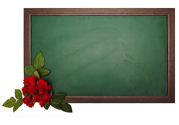 포토 JPG 스튜디오촬영 식물 계절 꽃 백그라운드 잎 자연 실내 누끼 빨간색 장미 칠판 봄 알림 오브젝트 식물백그라운드 국내포토 컬러 내부 생태계 파일형식