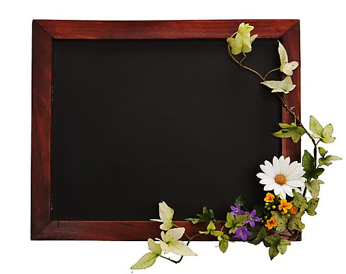 포토 JPG 스튜디오촬영 식물 계절 꽃 줄기 백그라운드 잎 자연 실내 누끼 사람없음 노란색 보라색 칠판 봄 흰색 알림 오브젝트 식물백그라운드 국내포토 컬러 내부 생태계 파일형식