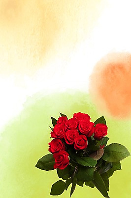 스튜디오촬영 PSD 식물 편집이미지 계절 꽃 여러송이 백그라운드 잎 꽃백그라운드 자연 실내 사람없음 빨간색 장미 봄 식물백그라운드 번짐 편집포토 이미지편집 컬러 다수 내부 생태계 파일형식 효과