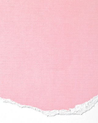 포토 JPG 스튜디오촬영 종이 분홍색 백그라운드 컨셉 실내 사람없음 오브젝트 국내포토 컬러 내부 파일형식