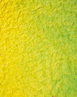 포토 JPG 스튜디오촬영 종이 컬러 백그라운드 컨셉 실내 사람없음 초록색 한지 오브젝트 국내포토 내부 파일형식