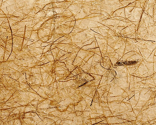 포토 JPG 스튜디오촬영 종이 백그라운드 컨셉 실내 사람없음 한지 오브젝트 국내포토 내부 파일형식