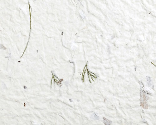 포토 JPG 스튜디오촬영 종이 백그라운드 컨셉 실내 사람없음 한지 오브젝트 국내포토 내부 파일형식