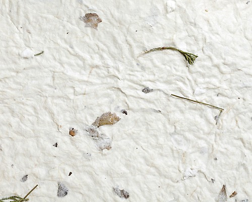 포토 JPG 스튜디오촬영 종이 백그라운드 컨셉 실내 사람없음 한지 오브젝트 국내포토 내부 파일형식