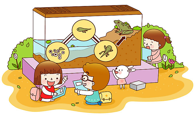 EPS 주간 식물 동물 학생 여자 어린이교육 교육 남자 꽃 초등학생 어린이 일러스트 교과목 수업 생물 초등학교 개구리 초등교육 미소 웃음 사람 소녀 소년 야외 책 세명 토끼 관찰 어항 개구리알 올챙이 진화과정 어린이만 국내일러스트 자연요소 포유류 학교 모션 표정 양서류 반려동물 알 과정 파일형식 벡터