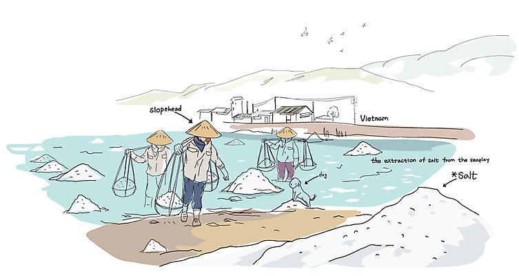 EPS 주간 건축물 남자 건축 나라 바다 해외여행 여행 백그라운드 일러스트 산 사람 동양인 풍경 야외 건물 세명 관광지 마을 세계여행 작업실 베트남 소금 세계명소 베트남인 염전 남자만 국내일러스트 자연요소 외국인 해외 인종 세계 동남아시아 시설 파일형식 벡터