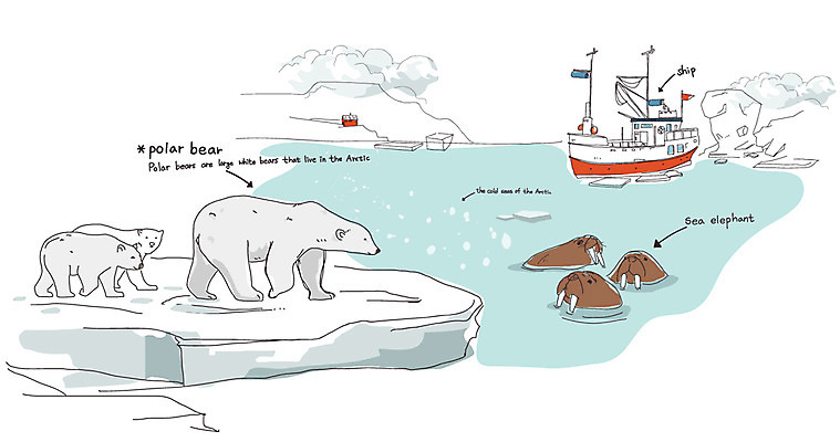 EPS 주간 동물 척추동물 육지동물 나라 바다 외국문화 해외여행 여행 백그라운드 여러마리 일러스트 곰 포유류 풍경 사람없음 야외 관광지 얼음 세계여행 크루즈 남극 극지방 북극 북극곰 빙하 백곰 세계명소 바다코끼리 선박 국내일러스트 자연요소 해외 문화 다수 수상교통 배_교통 세계 바다동물 지역 파일형식 벡터