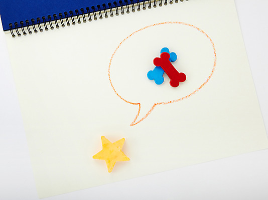 포토 JPG 스튜디오촬영 별 백그라운드 말풍선 색연필 실내 미술 사람없음 미술도구 그리기 스케치북 그림 개뼈다귀 국내포토 자연요소 모션 문화예술 학용품 내부 오브젝트 애견간식 파일형식