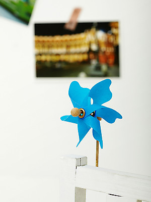 포토 JPG 스튜디오촬영 꽃 생활용품 백그라운드 실내 사람없음 놀이용품 바람개비 기념사진 국내포토 식물 내부 오브젝트 파일형식