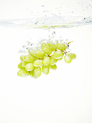 포토 JPG 스튜디오촬영 식물 음식 백그라운드 과일 포도 실내 사람없음 물 농작물 거품 물방울 청포도 물백그라운드 물이미지 국내포토 자연요소 농업 내부 파일형식
