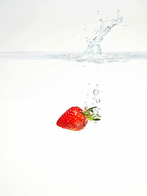 포토 JPG 스튜디오촬영 식물 음식 백그라운드 과일 딸기 실내 사람없음 물 농작물 거품 물방울 물백그라운드 물이미지 제철과일 국내포토 자연요소 농업 내부 제철 파일형식