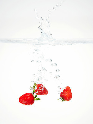 포토 JPG 스튜디오촬영 식물 음식 백그라운드 과일 딸기 실내 사람없음 물 농작물 거품 물방울 물백그라운드 물이미지 제철과일 국내포토 자연요소 농업 내부 제철 파일형식