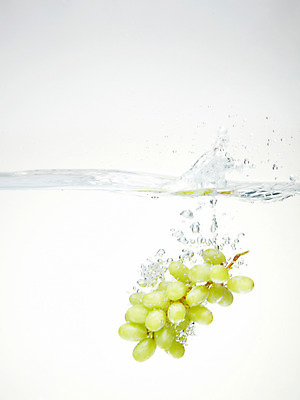 포토 JPG 스튜디오촬영 식물 음식 백그라운드 과일 포도 실내 사람없음 물 농작물 거품 물방울 청포도 물백그라운드 물이미지 국내포토 자연요소 농업 내부 파일형식