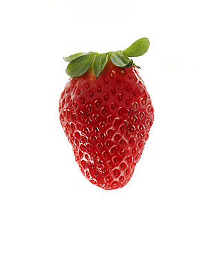 포토 JPG 스튜디오촬영 식물 열매 음식 백그라운드 과일 딸기 실내 누끼 사람없음 농작물 제철과일 국내포토 농업 내부 제철 파일형식