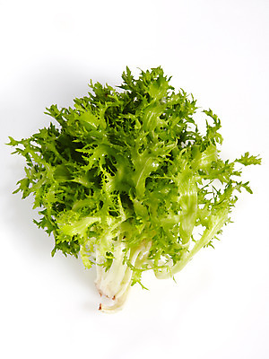 포토 JPG 스튜디오촬영 음식 백그라운드 채소 식재료 실내 누끼 사람없음 농작물 쌈 쌈채소 치커리 국내포토 농업 내부 파일형식