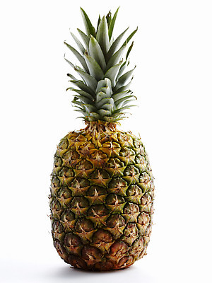 포토 JPG 스튜디오촬영 식물 열매 음식 백그라운드 과일 실내 누끼 사람없음 농작물 파인애플 국내포토 농업 내부 열대과일 파일형식