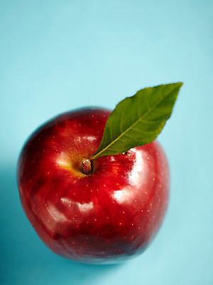 포토 JPG 스튜디오촬영 식물 열매 음식 백그라운드 과일 실내 사람없음 농작물 사과 국내포토 농업 내부 파일형식