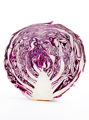 포토 JPG 스튜디오촬영 음식 백그라운드 채소 식재료 단면 실내 누끼 사람없음 농작물 양배추 적채 국내포토 농업 내부 파일형식