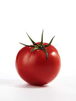 포토 JPG 스튜디오촬영 식물 음식 백그라운드 채소 방울토마토 실내 누끼 사람없음 농작물 국내포토 농업 토마토 내부 파일형식