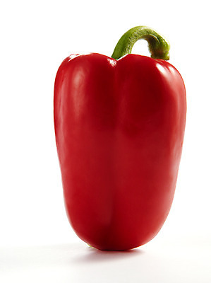 포토 JPG 스튜디오촬영 음식 백그라운드 채소 식재료 피망 파프리카 실내 누끼 사람없음 농작물 국내포토 농업 내부 파일형식