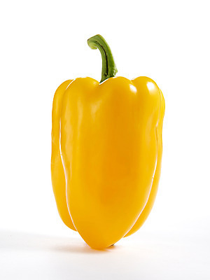 포토 JPG 스튜디오촬영 음식 백그라운드 채소 식재료 피망 파프리카 실내 누끼 사람없음 농작물 국내포토 농업 내부 파일형식