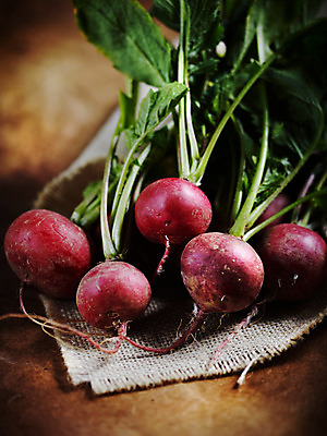 포토 JPG 스튜디오촬영 음식 백그라운드 채소 식재료 실내 사람없음 농작물 적환무 국내포토 농업 내부 무 파일형식