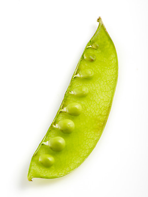 포토 JPG 스튜디오촬영 음식 백그라운드 채소 식재료 콩 실내 누끼 사람없음 농작물 완두콩 국내포토 농업 곡류 내부 파일형식