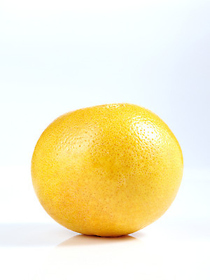 포토 JPG 스튜디오촬영 식물 열매 음식 백그라운드 오렌지 과일 실내 누끼 사람없음 농작물 국내포토 농업 내부 파일형식