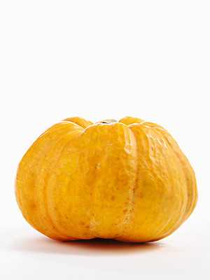 포토 JPG 스튜디오촬영 음식 백그라운드 채소 식재료 호박 실내 누끼 사람없음 농작물 국내포토 농업 내부 파일형식