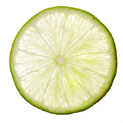 포토 JPG 스튜디오촬영 식물 열매 음식 백그라운드 과일 단면 실내 누끼 사람없음 농작물 레몬 국내포토 농업 내부 파일형식