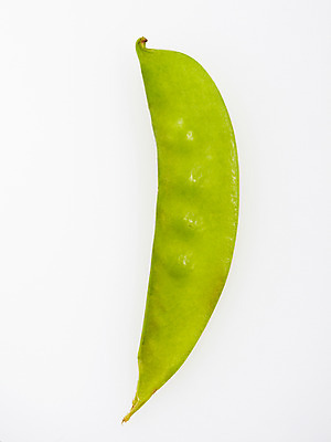 포토 JPG 스튜디오촬영 음식 백그라운드 채소 식재료 콩 실내 누끼 사람없음 농작물 완두콩 국내포토 농업 곡류 내부 파일형식