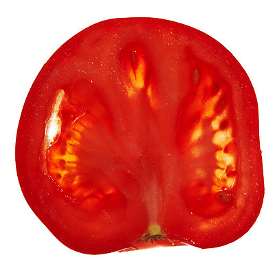 포토 JPG 스튜디오촬영 음식 백그라운드 토마토 채소 식재료 단면 실내 누끼 사람없음 농작물 국내포토 농업 내부 파일형식