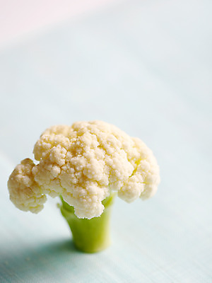 포토 JPG 스튜디오촬영 음식 백그라운드 채소 식재료 실내 사람없음 농작물 브로콜리 국내포토 농업 내부 파일형식