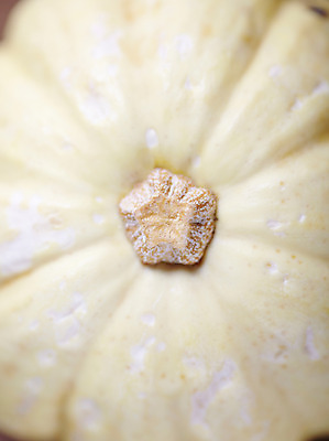 포토 JPG 스튜디오촬영 음식 백그라운드 채소 식재료 호박 실내 근접촬영 사람없음 농작물 국내포토 뷰포인트 농업 내부 파일형식