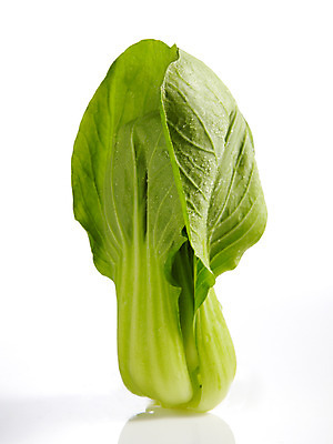 포토 JPG 스튜디오촬영 음식 백그라운드 채소 식재료 실내 누끼 사람없음 농작물 청경채 쌈채소 국내포토 농업 내부 파일형식