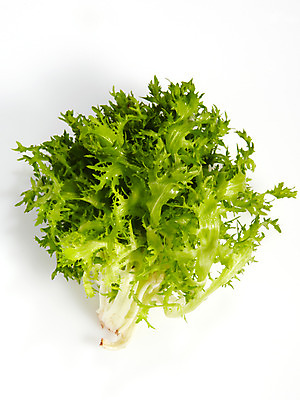 포토 JPG 스튜디오촬영 음식 백그라운드 채소 식재료 실내 누끼 사람없음 농작물 쌈 쌈채소 치커리 국내포토 농업 내부 파일형식